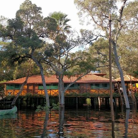 Pantanal Jungle Lodge Passo do Lontra Εξωτερικό φωτογραφία