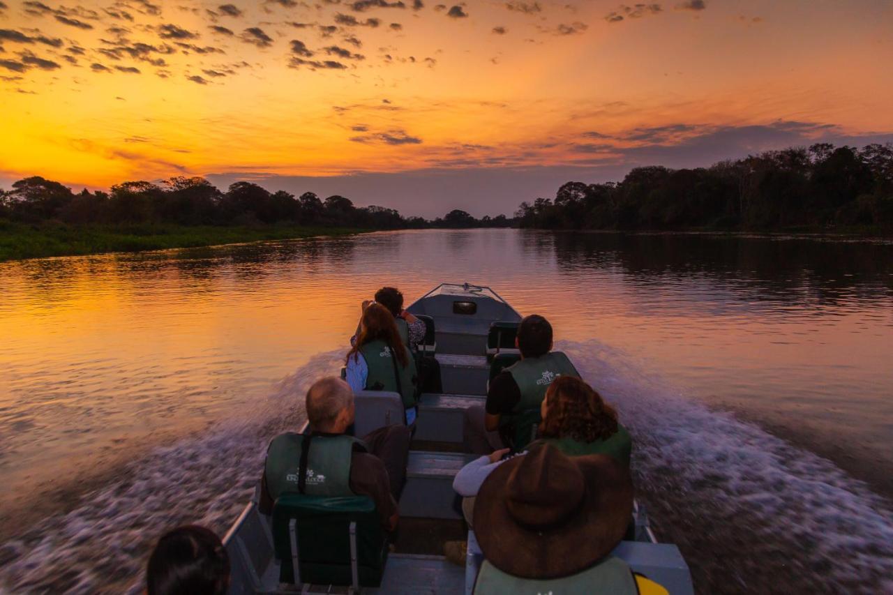 Pantanal Jungle Lodge Passo do Lontra Εξωτερικό φωτογραφία