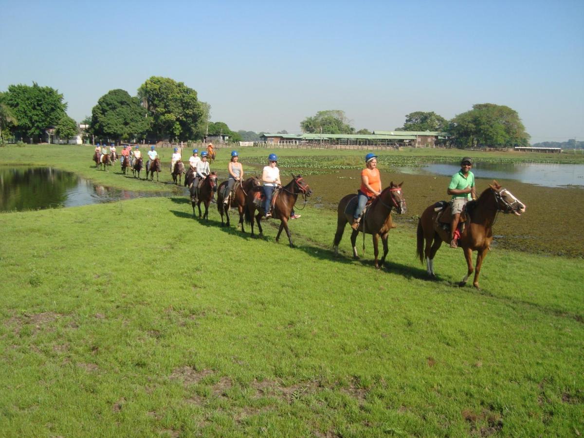 Pantanal Jungle Lodge Passo do Lontra Εξωτερικό φωτογραφία