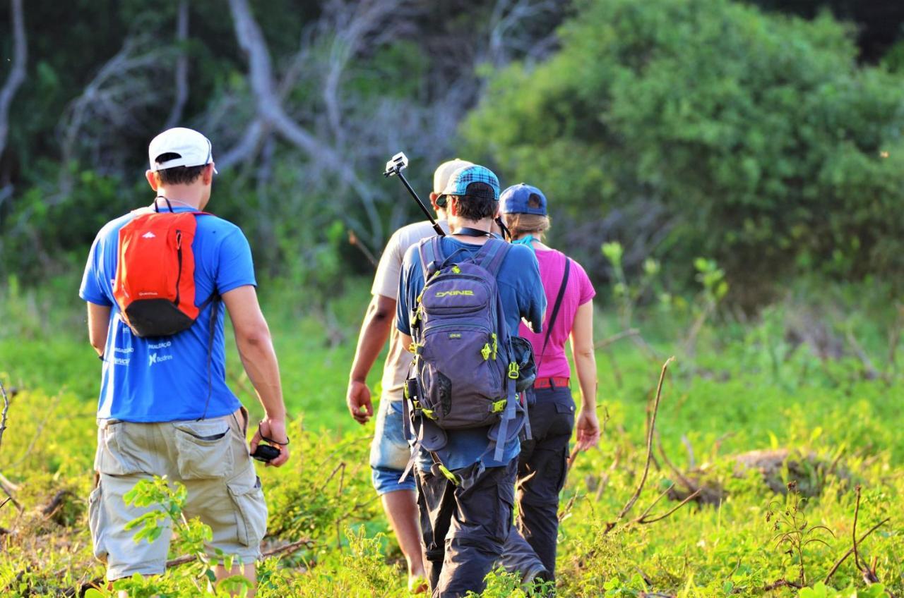 Pantanal Jungle Lodge Passo do Lontra Εξωτερικό φωτογραφία