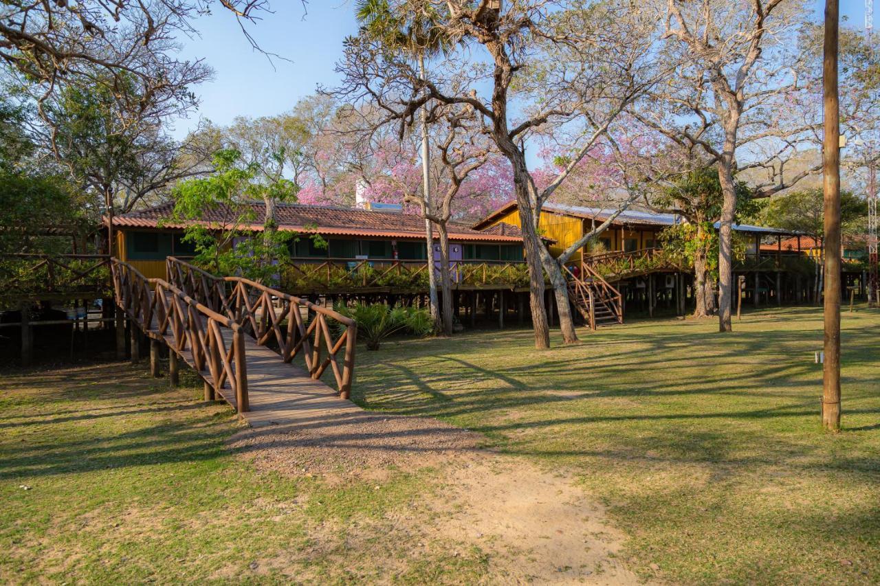 Pantanal Jungle Lodge Passo do Lontra Εξωτερικό φωτογραφία