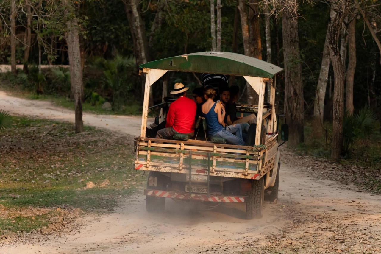 Pantanal Jungle Lodge Passo do Lontra Εξωτερικό φωτογραφία