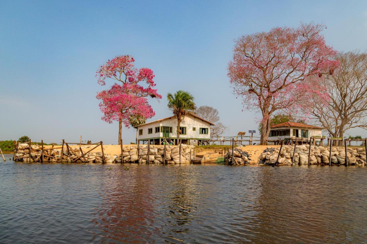 Pantanal Jungle Lodge Passo do Lontra Εξωτερικό φωτογραφία
