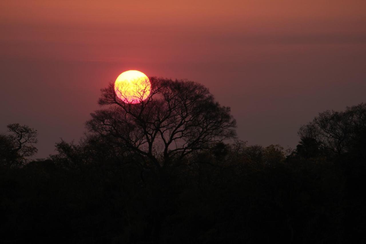 Pantanal Jungle Lodge Passo do Lontra Εξωτερικό φωτογραφία